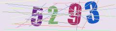 CAPTCHA validation image