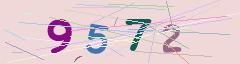 CAPTCHA validation image
