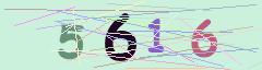 CAPTCHA validation image