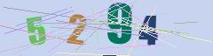 CAPTCHA validation image