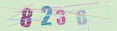 CAPTCHA validation image