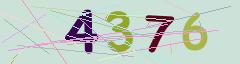 CAPTCHA validation image