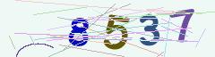 CAPTCHA validation image