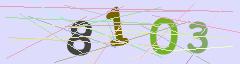 CAPTCHA validation image