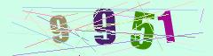 CAPTCHA validation image