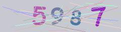 CAPTCHA validation image