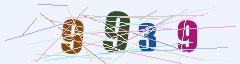 CAPTCHA validation image