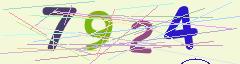CAPTCHA validation image