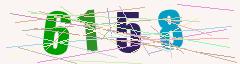 CAPTCHA validation image