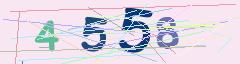 CAPTCHA validation image