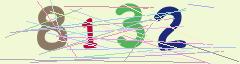 CAPTCHA validation image