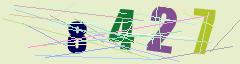 CAPTCHA validation image