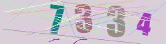 CAPTCHA validation image
