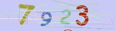 CAPTCHA validation image