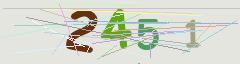 CAPTCHA validation image