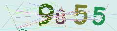 CAPTCHA validation image