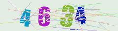 CAPTCHA validation image