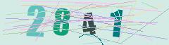 CAPTCHA validation image