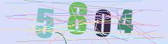 CAPTCHA validation image