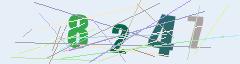 CAPTCHA validation image
