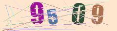 CAPTCHA validation image