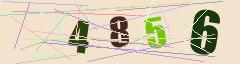 CAPTCHA validation image